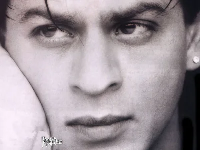 SRK-shahrukh-khan-34820290-1024-769.jpg