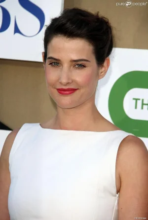 cobie-smulders3.jpg