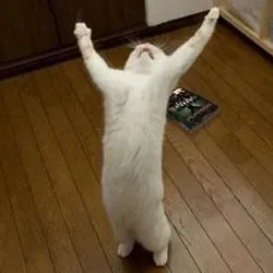 free.jpg