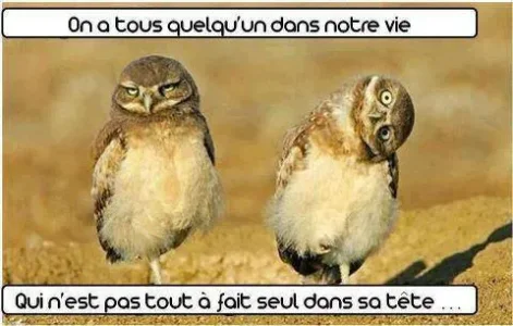 Les Pas Tout Seul.jpg