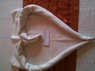 photo 3.JPG