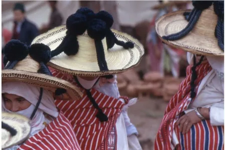 Capture chapeau.JPG