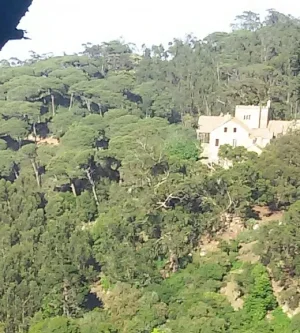 20140426_173143-1-2-1.jpg