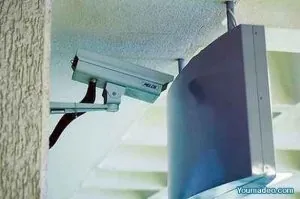 image.jpg