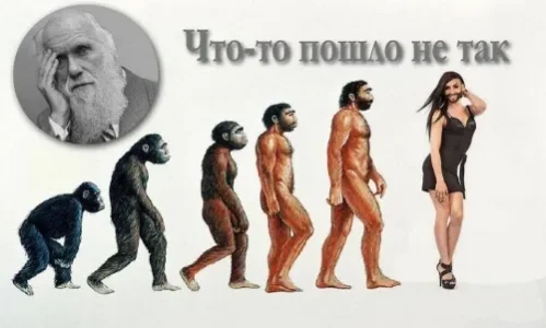 2644498272.jpg