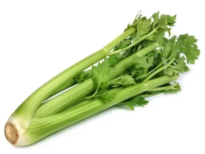 celeri_branche_1.jpg