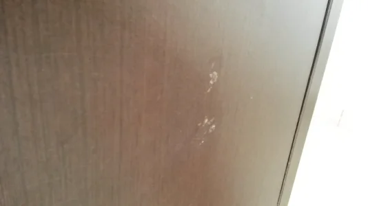 20140619_123720.jpg