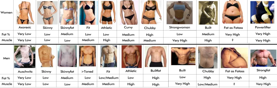 body-types.jpg