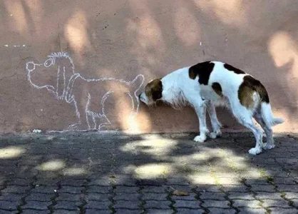 L'amour est aveugle....jpg