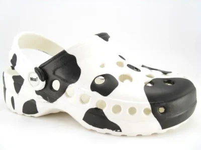 chaussure.JPG
