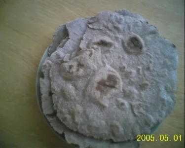 RECO0143.jpg