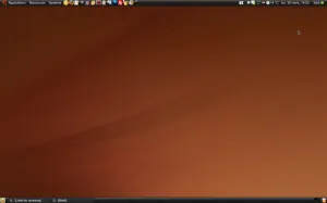 capture-ecran-bladi.resized.png