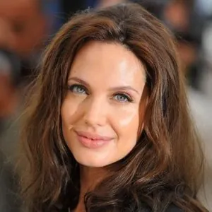 angelina-jolie-2522156_1350.jpg
