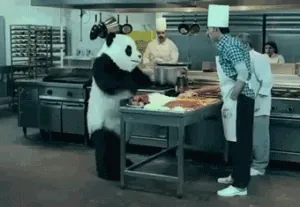 giphy (14).gif