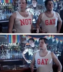 gay not gay.jpg