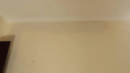 10726815_317860038419396_2007235692_n.jpg