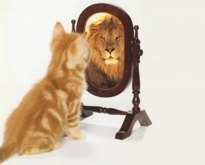 chat-lion.jpg