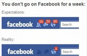 expectations-vs-reality-meme-dumpaday-11.jpg