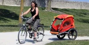 vélo carriole.jpg
