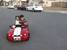 moii.gif