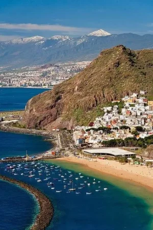 canaria.jpg