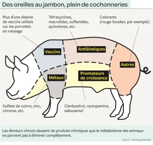 CochonChine-655 (1).jpg