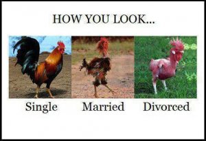 single-married-divorced.jpg