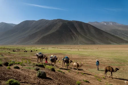 transhumance-maroc-31.jpg