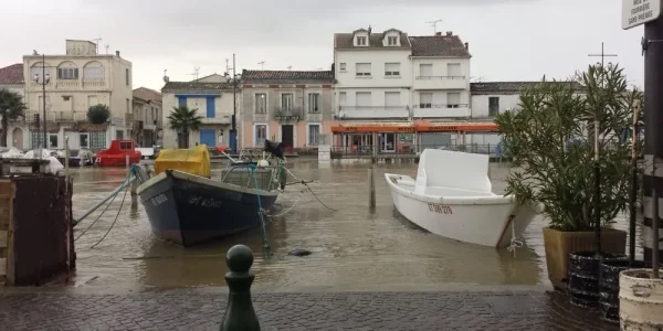 au-grau-du-roi-gard-les-bateaux-arrivent-sur-la-route_1174101_1000x500.jpg