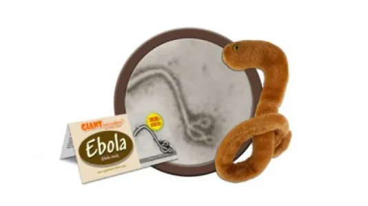 tmp_8464-ebola-1.si137666923.jpg
