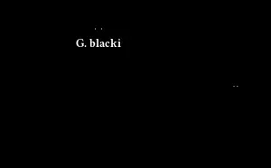 300px-Gigantopithecus_v_human_v1_svg.png