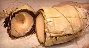 image.jpg