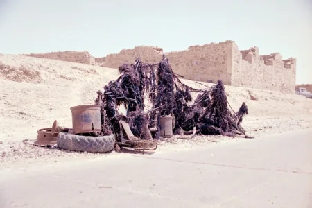 tmp_1883-Afghan Taliban Xmas Tree-1344942611.jpg