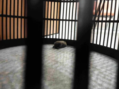 upload_2015-1-5_20-49-2.jpeg