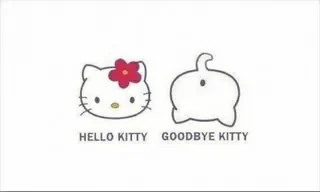 kitty.jpg