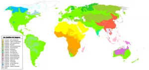 Les_familles_de_langues.png