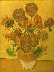 Tournesols1.jpg