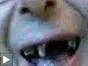 images.jpg