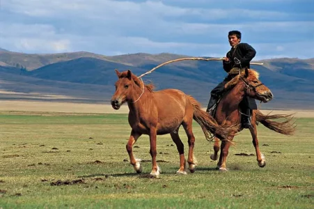mongolie_cavalier.jpg