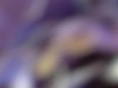 fond-ecran-flou-artistique.jpg