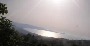 879.JPG