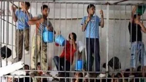 enfants_dans_cages-f79e3.jpg