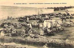 ?52,file=193412,filename=1917.OUDJDA_MAROC_derriere_les_remparts_caravane_de_chameaux_en_station.jpg