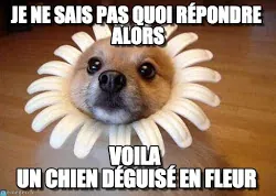 cMKzxb3B4eb-mh4fl9WLSuJfNE5GfFY454ewWqYdmcQ4flBlQeGS4e98fPdku4oJUuPE1qQM1rBPpuYYHF9QGmk=s250.jpg