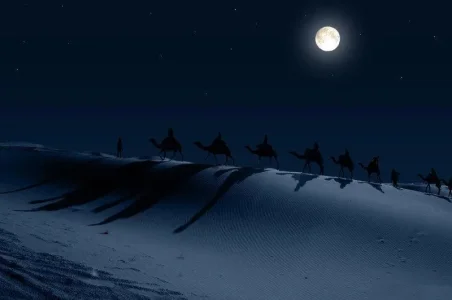 528_494609997230605_242963994_n.jpg