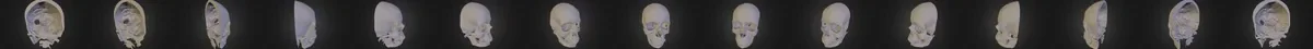 fallbacksprite-m.png