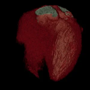13609603.gif