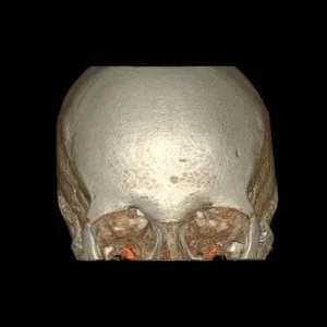 13609421.gif