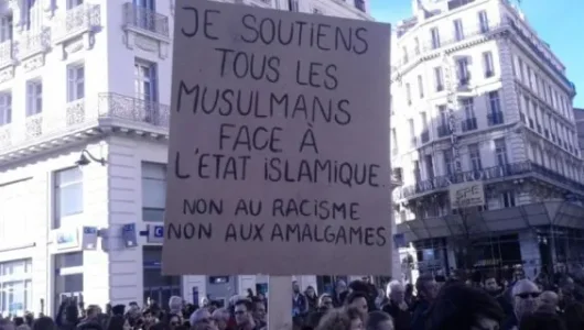 manif_dimanche_15_janvier.jpe