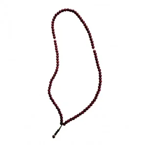 soubha.jpg